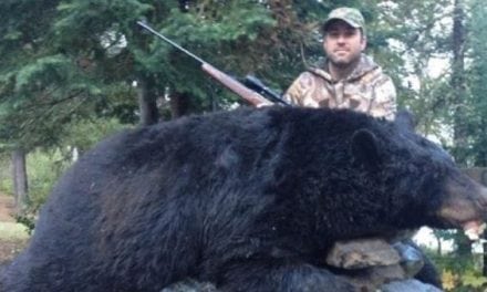 Monster 760-Pound Ontario Black Bear Shot, Man Convicted Three Years Later