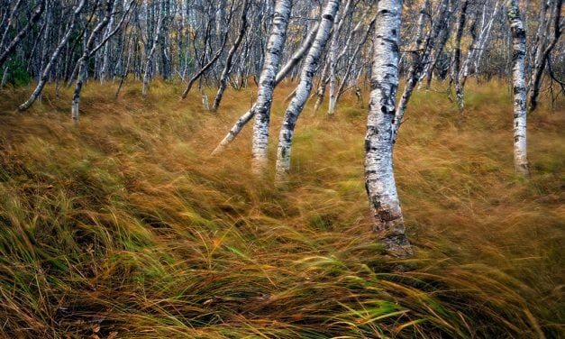 Photo Of The Day By Danielle Austen