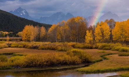 Photo Of The Day By Jody Partin