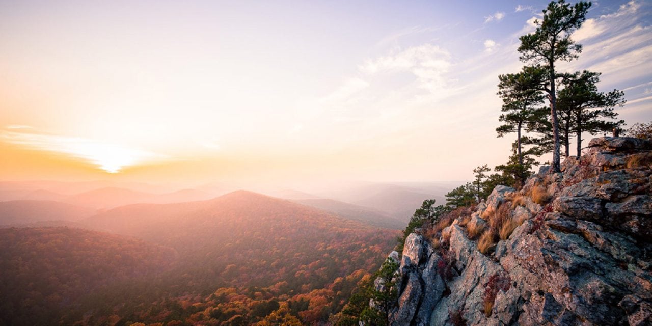 Photo Of The Day By Matthew Parks