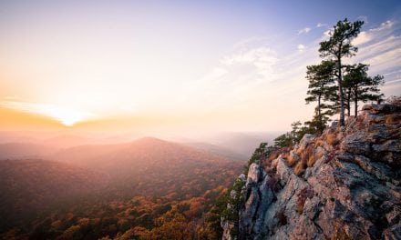 Photo Of The Day By Matthew Parks