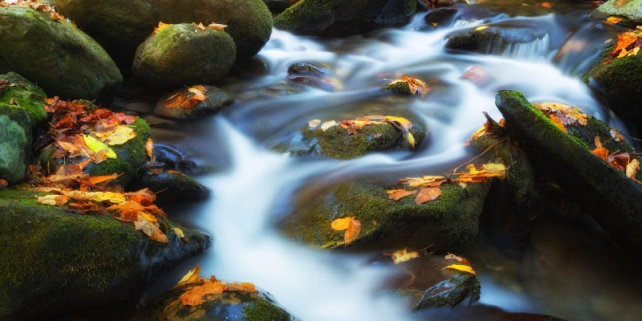 Photo Of The Day By Michael Swindle