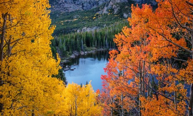 Photo Of The Day By Wendy Gedack