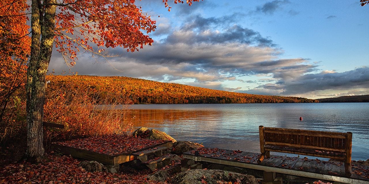 Photographer Profile: Arend Trent Thibodeau