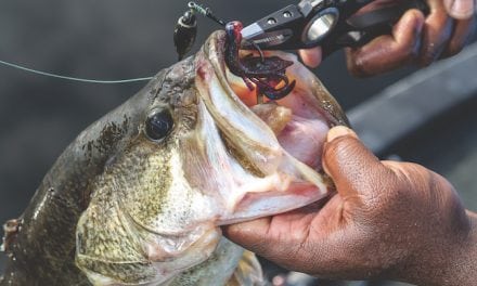 Prime Fall Fishing Trips in Pennsylvania