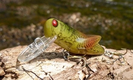 Prime Hopper (grasshopper) Fishing