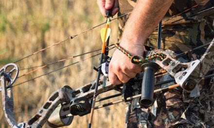 Public Land Deer Hunting in Hoosier State