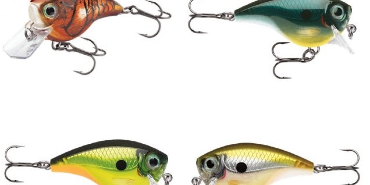 RAPALA BX BRAT WILL BULLY BASS INTO BITING