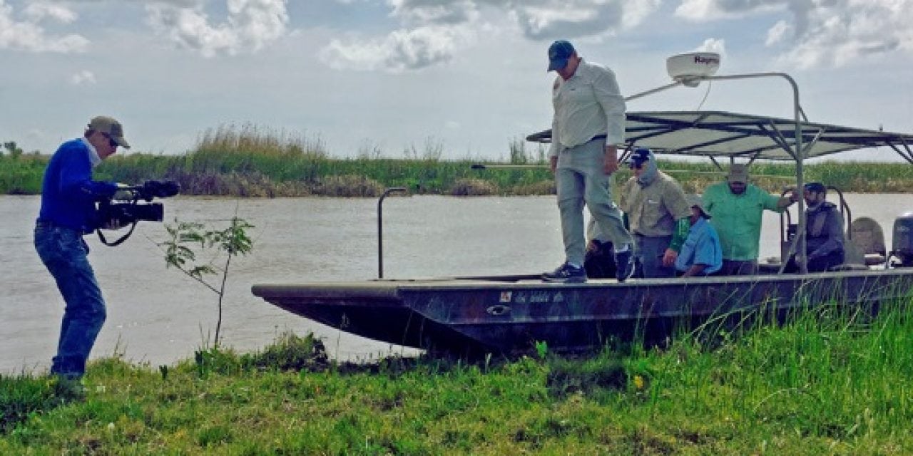 Reversing Land Loss and Improving Fish Habitat in the Bayou