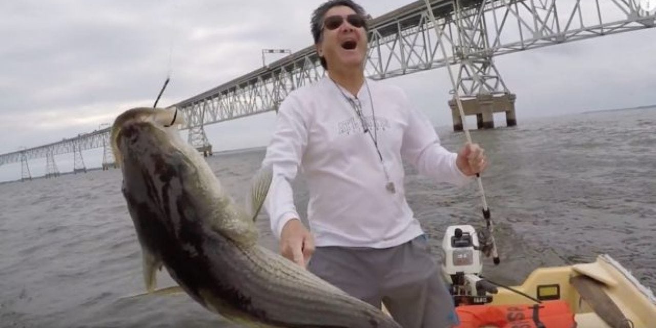 Saltwater Fishing Challenge: Live Bait vs. Artificial Lures