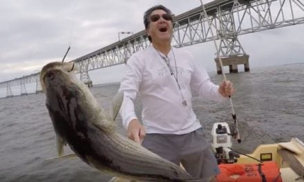 Saltwater Fishing Challenge: Live Bait vs. Artificial Lures