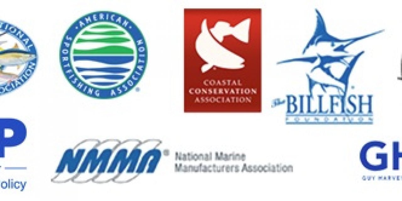 Senate Commerce Committee Advances Billfish Conservation Act