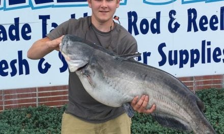 State Record Catfish Beats Mark by 11 Pounds