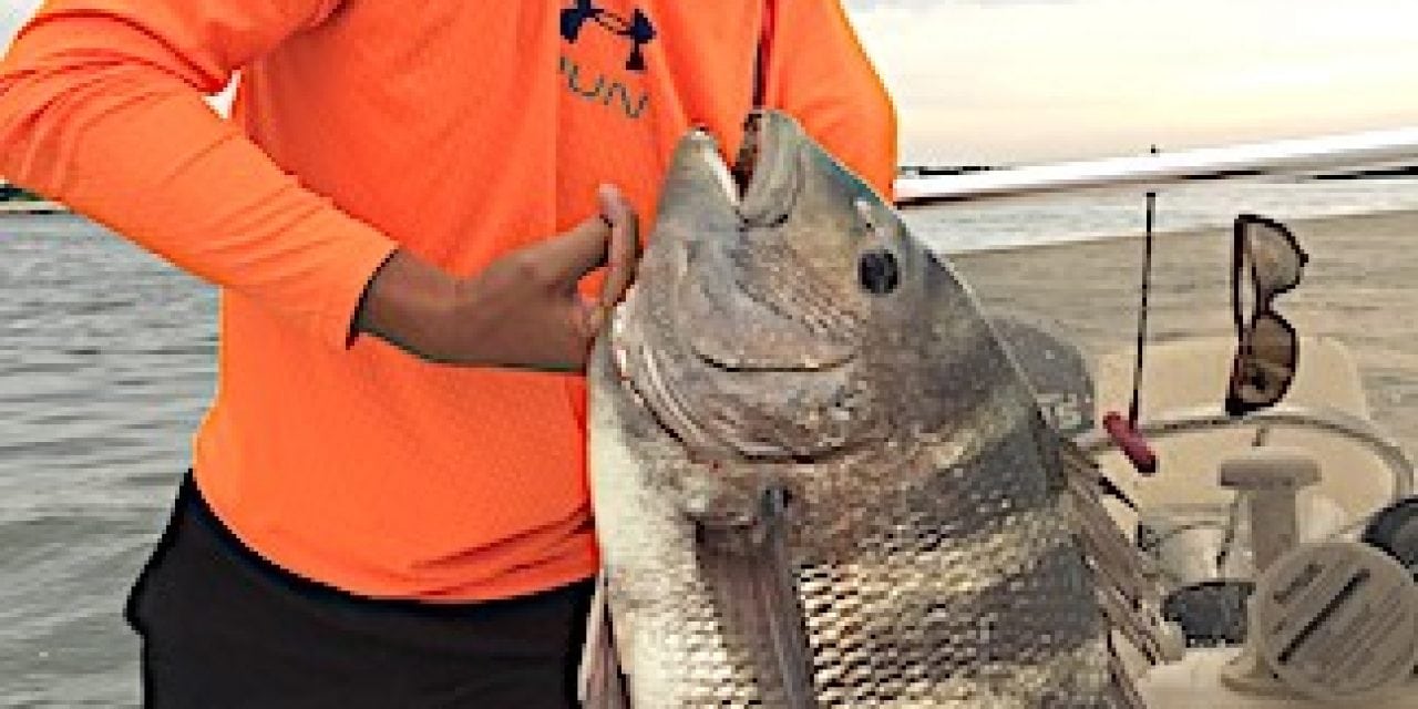 ‘Strong Tug’ Results in State Record Sheepshead