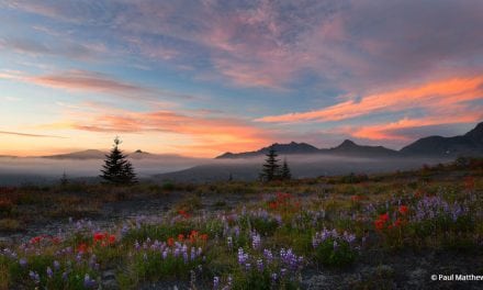 Summer Sunrises And Sunsets Assignment Winner Paul Matthews