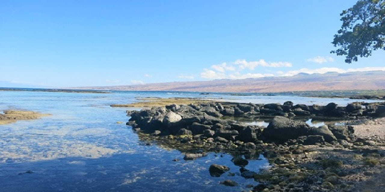 Supporting Continued Coral Reef and Watershed Management in West Hawai‘i