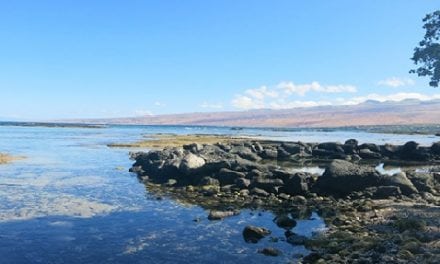 Supporting Continued Coral Reef and Watershed Management in West Hawai‘i