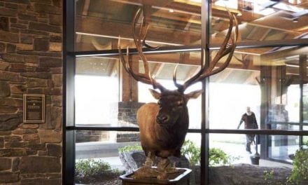 The Archery World Record Elk Is Now On Display For All To See