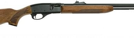 The Legendary Remington 552 Speedmaster