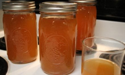This Homemade Apple Pie Moonshine, and a Little Faith, Can Cure Pretty Much Anything