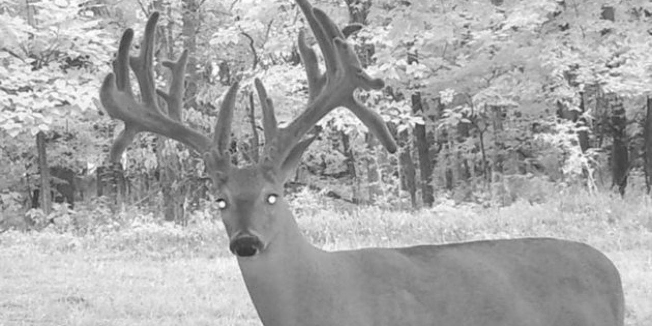 This Monster Buck is in Kansas Right Now and May be on State Land!
