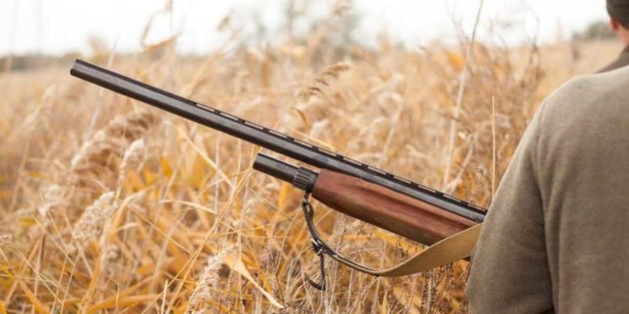 Top 5 Most Overrated Guns for Hunting