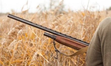 Top 5 Most Overrated Guns for Hunting
