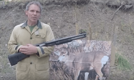 Video: 5 Guns for Deer Hunting You’ll Want to Check Out