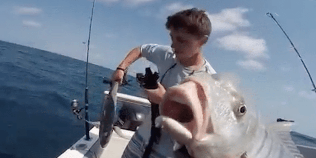 Video: Angler’s Popper Setup Gets Crushed By Fish