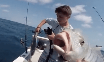 Video: Angler’s Popper Setup Gets Crushed By Fish