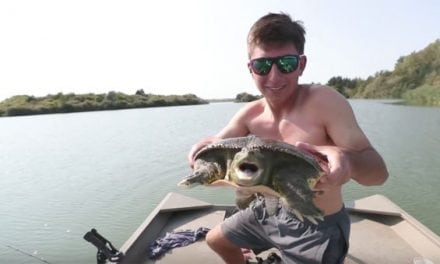 Video: APBassing Goes Tries Catfishing, Catches an Angry Turtle Instead