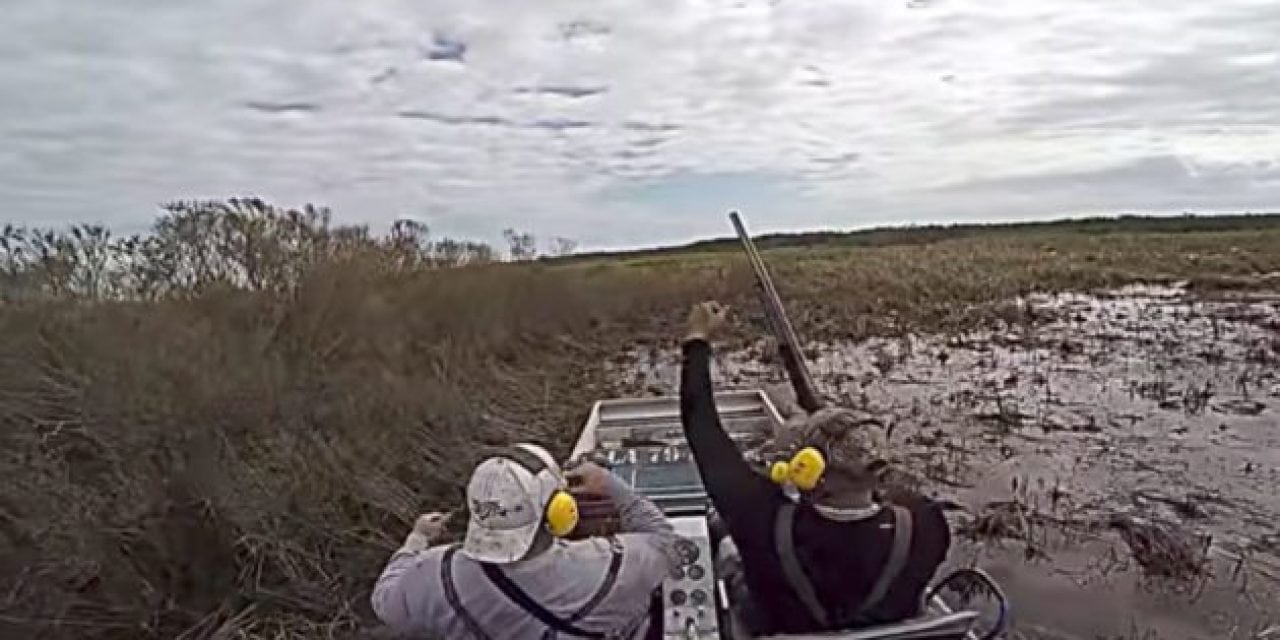 Video: Awesome Hog Hunting From an Airboat
