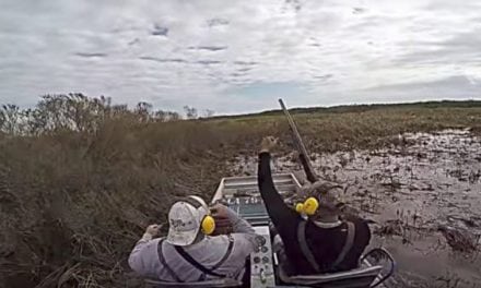 Video: Awesome Hog Hunting From an Airboat