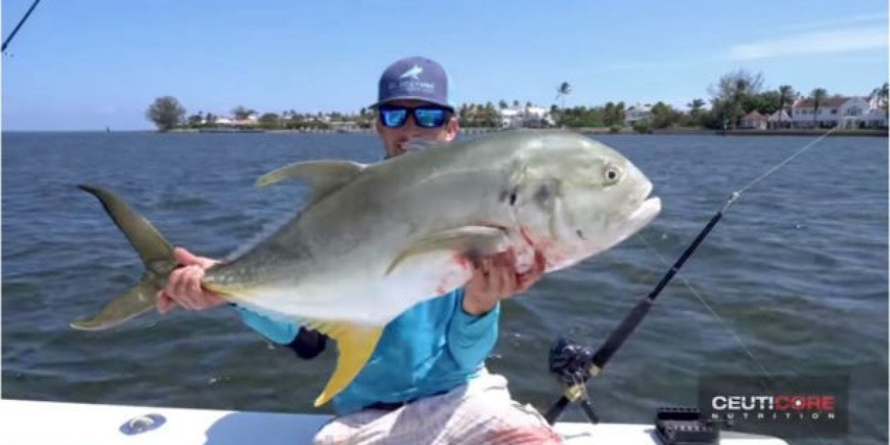 Video: BlacktipH Goes Kite Fishing for Tarpon, Sharks and Jack Crevalle
