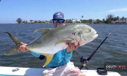 Video: BlacktipH Goes Kite Fishing for Tarpon, Sharks and Jack Crevalle