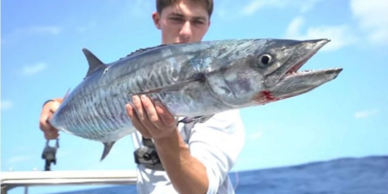 Video: Fishing for Mackeral and Golden Trevally With Jon B and Lunkers TV