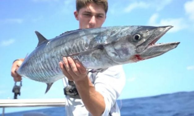 Video: Fishing for Mackeral and Golden Trevally With Jon B and Lunkers TV