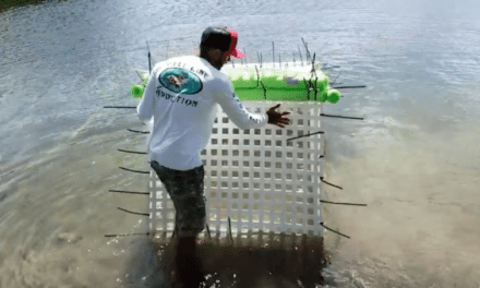 Video: Guy’s Enormous Fish Cage Aims to Save His Fish from Hurrican Irma