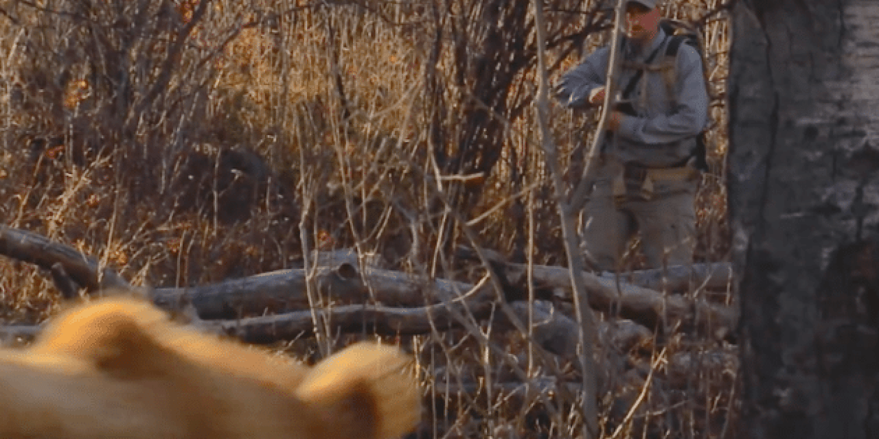 Video: How To Stay Safe Hunting In Bear Country by Wyoming Game and Fish