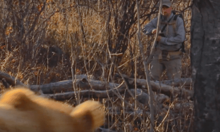 Video: How To Stay Safe Hunting In Bear Country by Wyoming Game and Fish