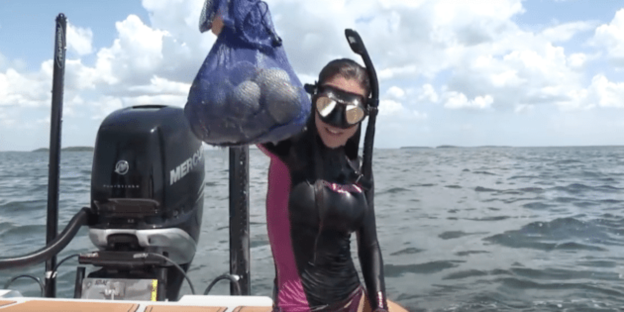VIDEO: Learn the Basics of Scalloping with Luiza