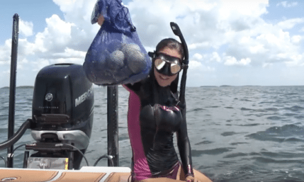 VIDEO: Learn the Basics of Scalloping with Luiza