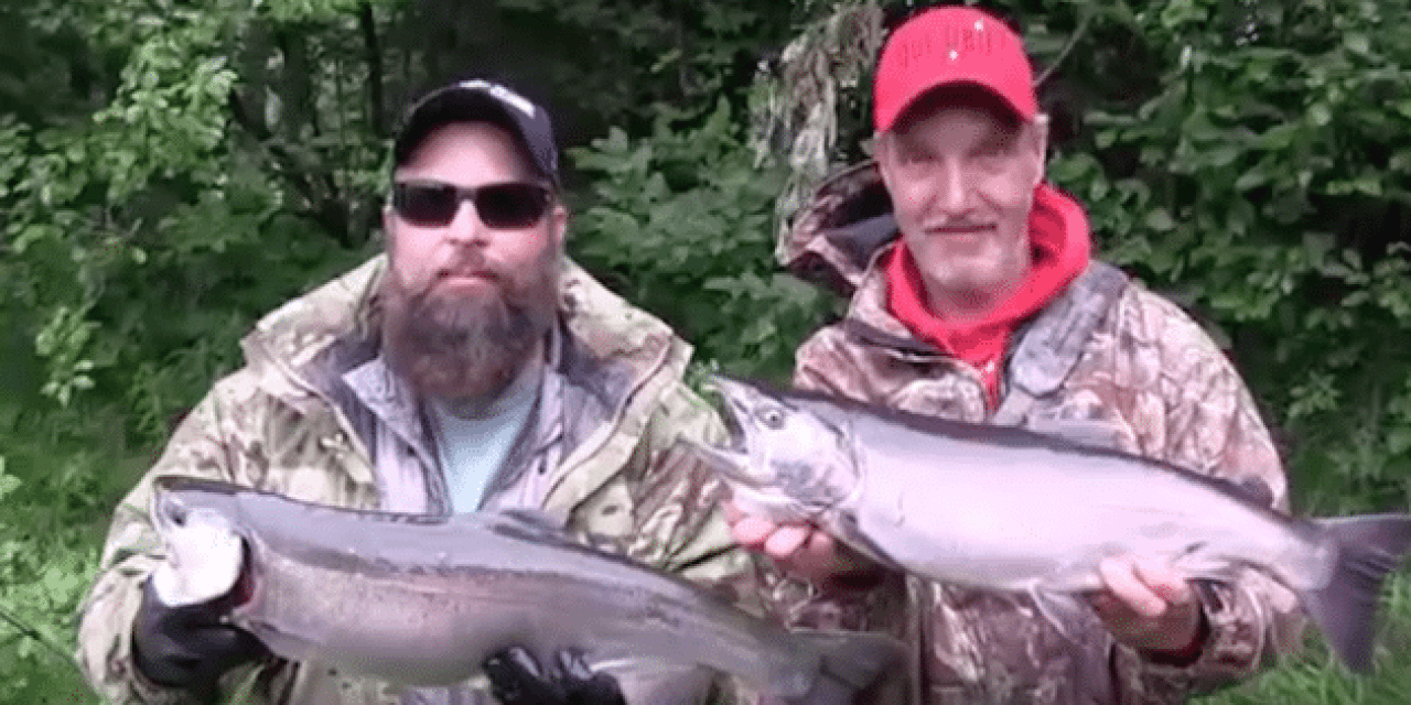 Video: World Class Fishing for Silver Salmon in Alaska