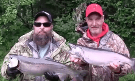 Video: World Class Fishing for Silver Salmon in Alaska