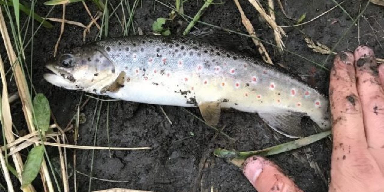 Well, It’s Official: We Found a Honey Hole in Bozeman, Montana