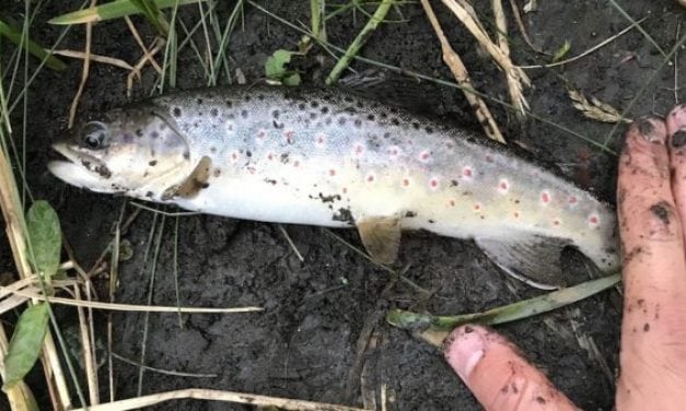Well, It’s Official: We Found a Honey Hole in Bozeman, Montana