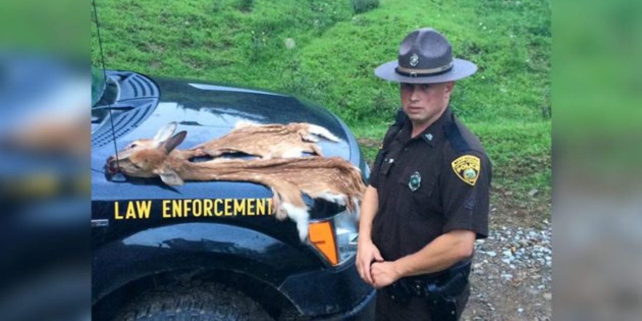 West Virginia DNR Catches Fawn Poacher