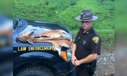 West Virginia DNR Catches Fawn Poacher