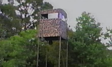 What is That? Why, It’s the Cajun Elevator Stand, Of Course