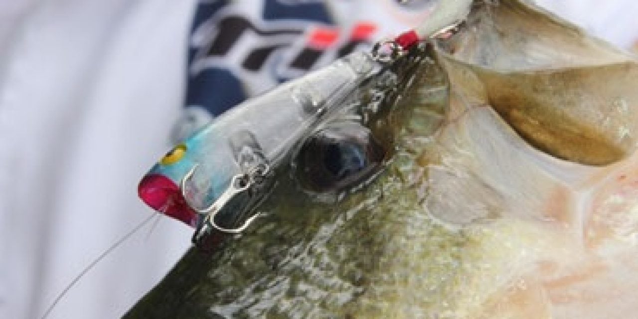When To Go With Small Baits For Big Fish